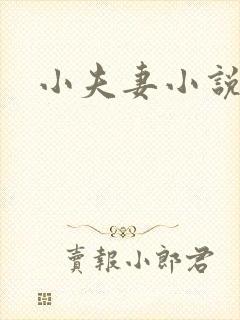 小夫妻小说