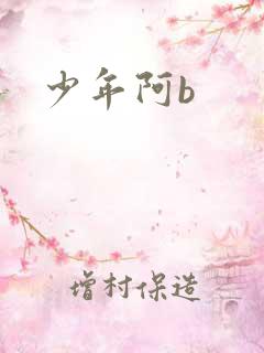 少年阿b