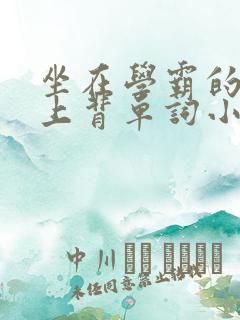 坐在学霸的棍子上背单词小说