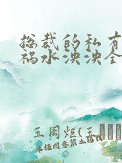 总裁的私有宝贝祸水泱泱全文阅读