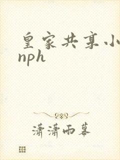 皇家共享小公主nph