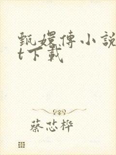 甄嬛传小说txt下载