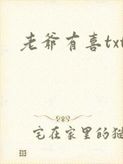 老爷有喜txt