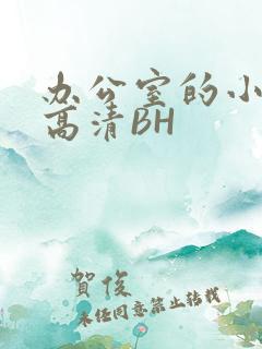 办公室的小秘书高清BH