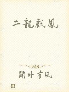 二龙戏凤