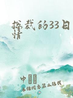 总裁的33日索情