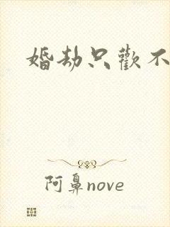 婚劫只欢不爱