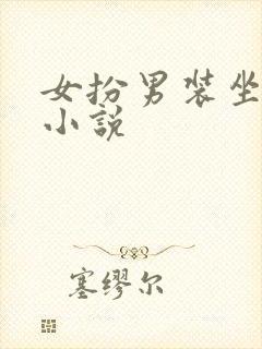 女扮男装坐江山小说