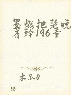 墨燃把楚晚宁按着干196章
