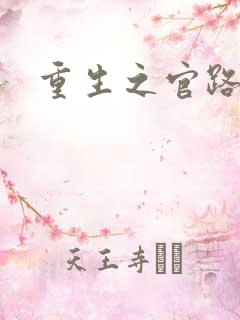 重生之官路风流