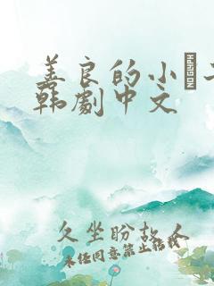 善良的小峓子2韩剧中文