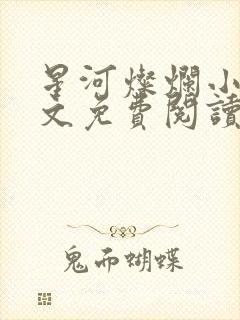 星河灿烂小说全文免费阅读