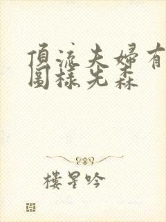 顶流夫妇有点甜图样先森