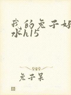 我的兔子好多软水h15