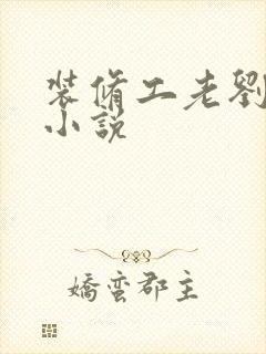 装修工老刘林雪小说