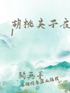 胡桃夹子夜未眠1