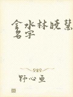 金水林晓慧小说名字