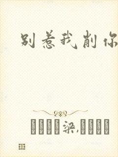 别惹我削你