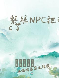 系统NPC把我c了