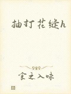 抽打花缝h