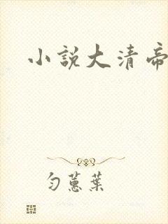小说大清帝国