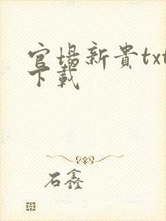 官场新贵txt下载