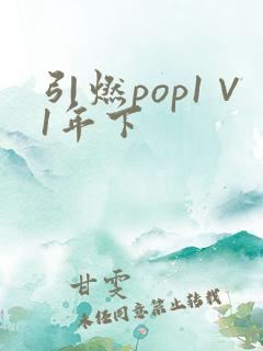 引燃pop1∨1年下
