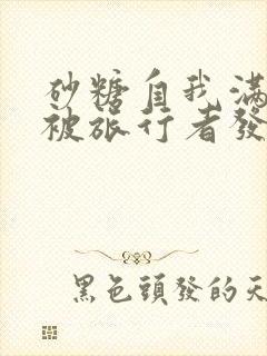 砂糖自我满足时被旅行者发现小说