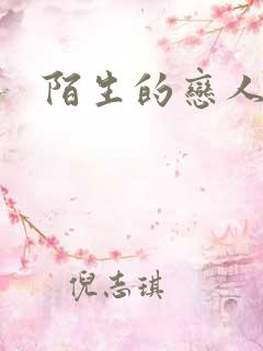 陌生的恋人小说