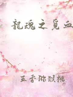 龙魂之觅血心缘