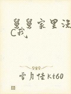 舅舅家里没人快C我