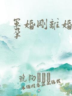 军婚刚离婚就怀孕