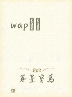 wapС˵