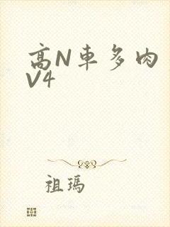 高N车多肉多1V4