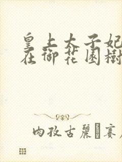 皇上太子妃沈音在御花园树上