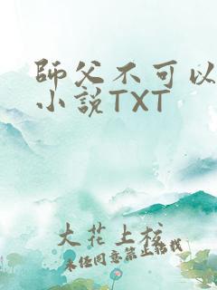 师父不可以灵犀小说TXT