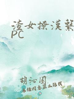 渣女撩汉系统NPC