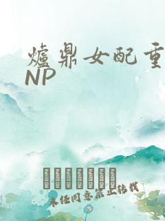炉鼎女配重生之NP