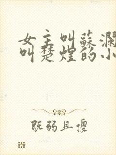 女主叫苏澜男主叫楚煜的小说