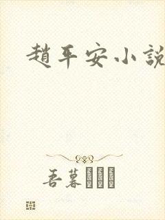 赵平安小说主角