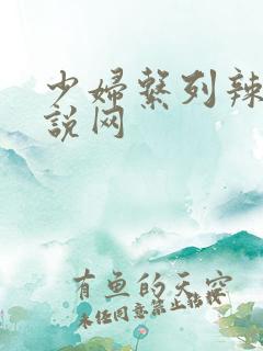 少妇系列辣文小说网