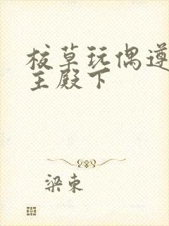 校草玩偶遵命公主殿下