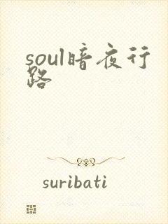 soul暗夜行路
