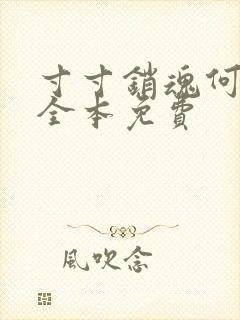 寸寸销魂何生祥全本免费