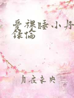 爱裸睡小丹乱目录伦
