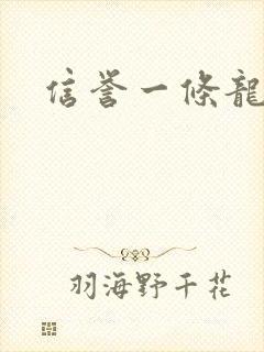 信誉一条龙