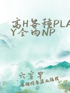 高H各种PLAY全肉NP