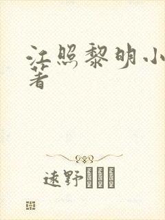 江照黎明小说原著