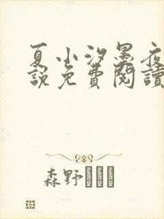 夏小汐墨夜霆小说免费阅读