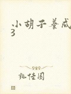 小胡子养成计划3